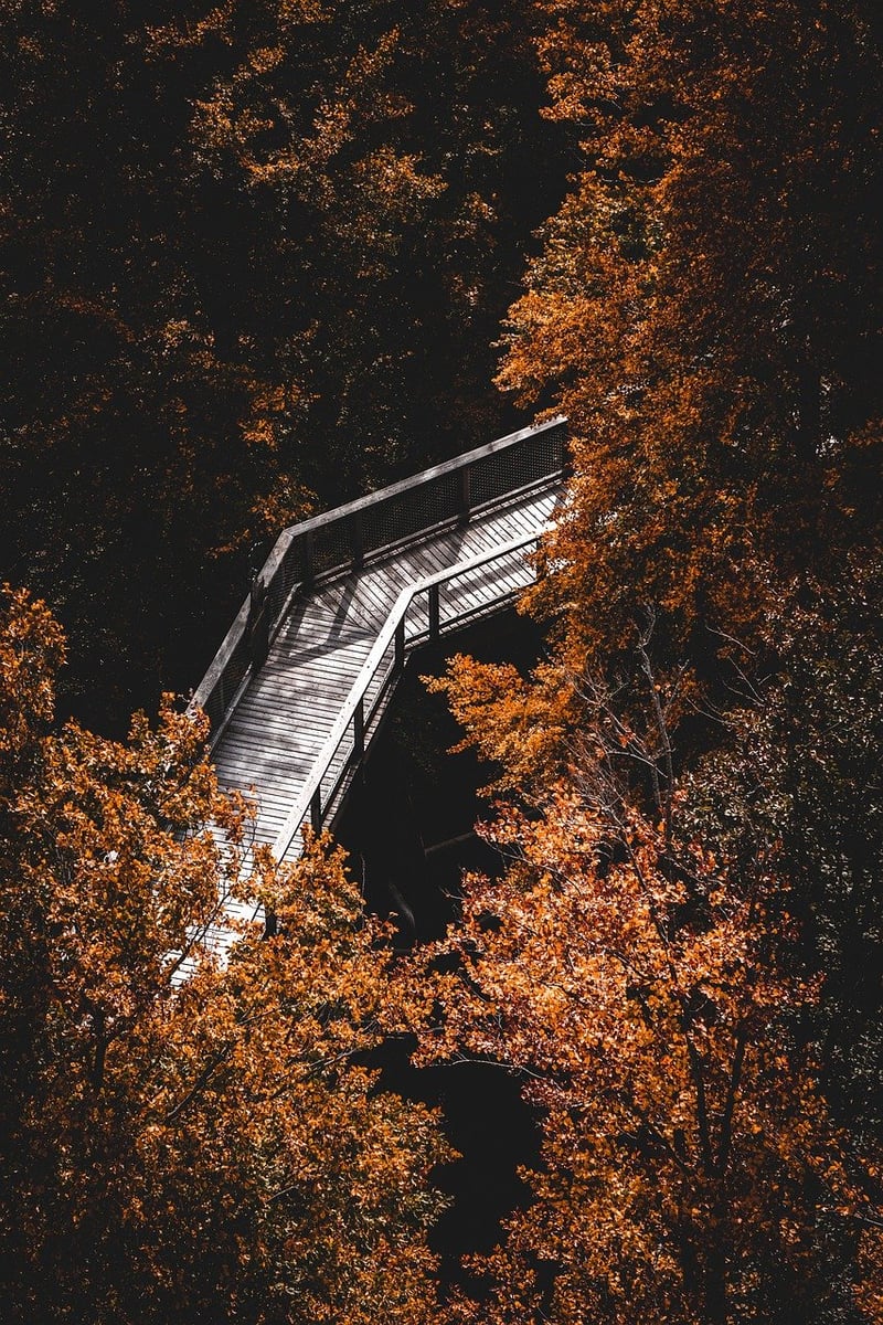 Mindful Hikes